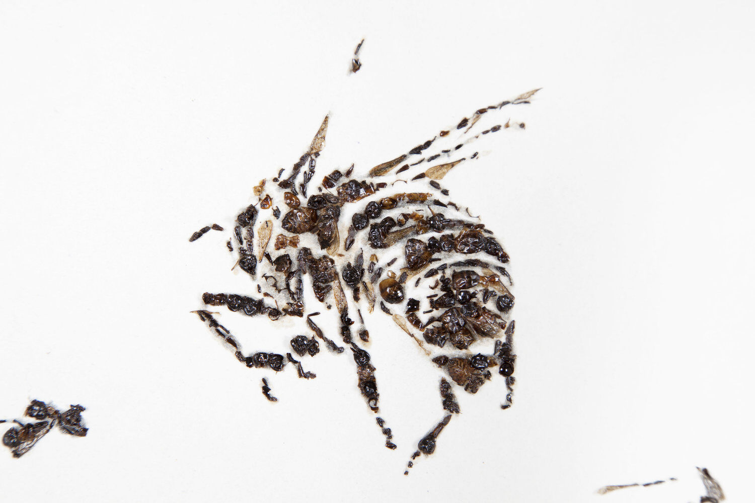 Bees pszczoly w sztuce