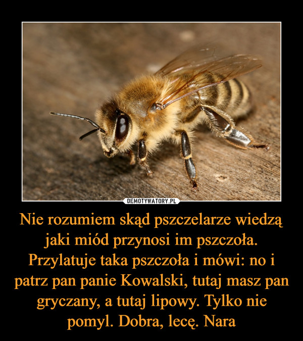 Borgman grafika demotywatory