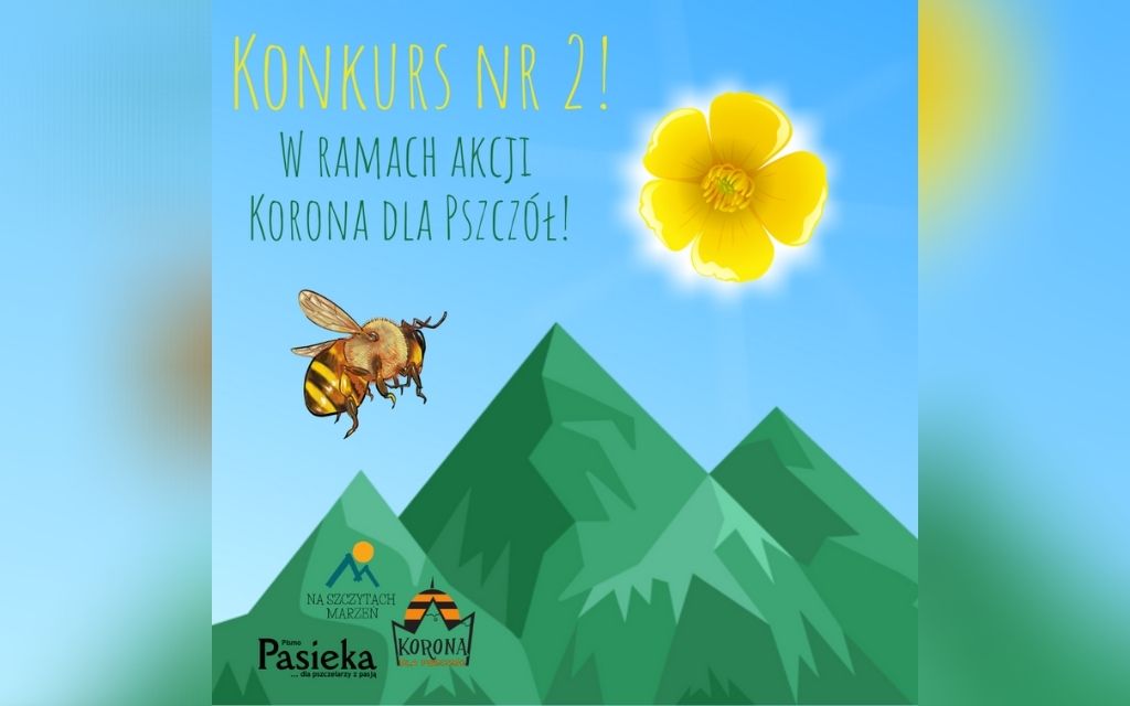konkurs nr 2