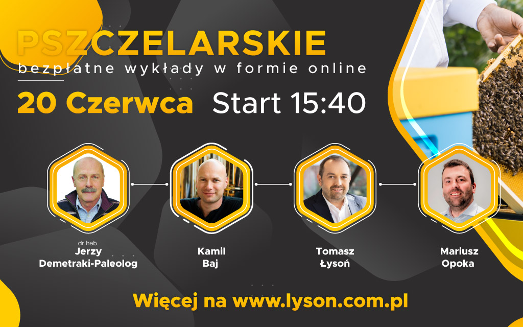 1024x640 webinar grafika