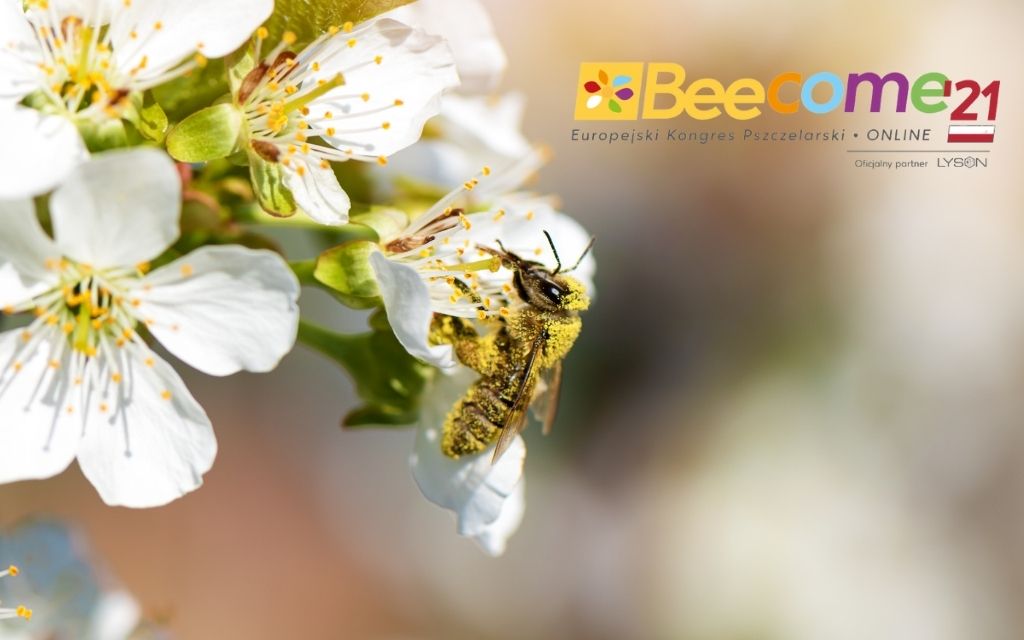 BeeCome