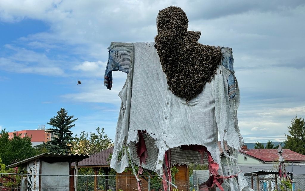 Bee Press Photo 3
