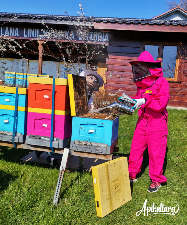 Kala i pszczoły
