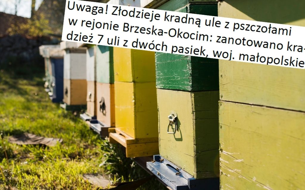 UWAGA Skradziono ule w Brzesku