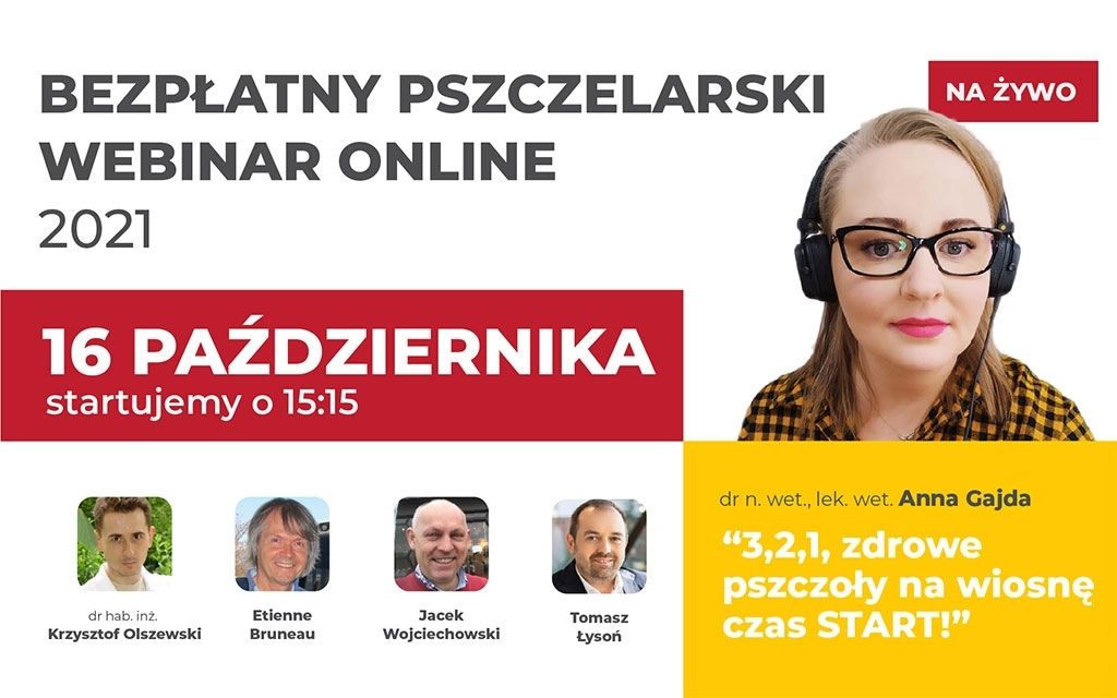 webinar pełen wiedzy