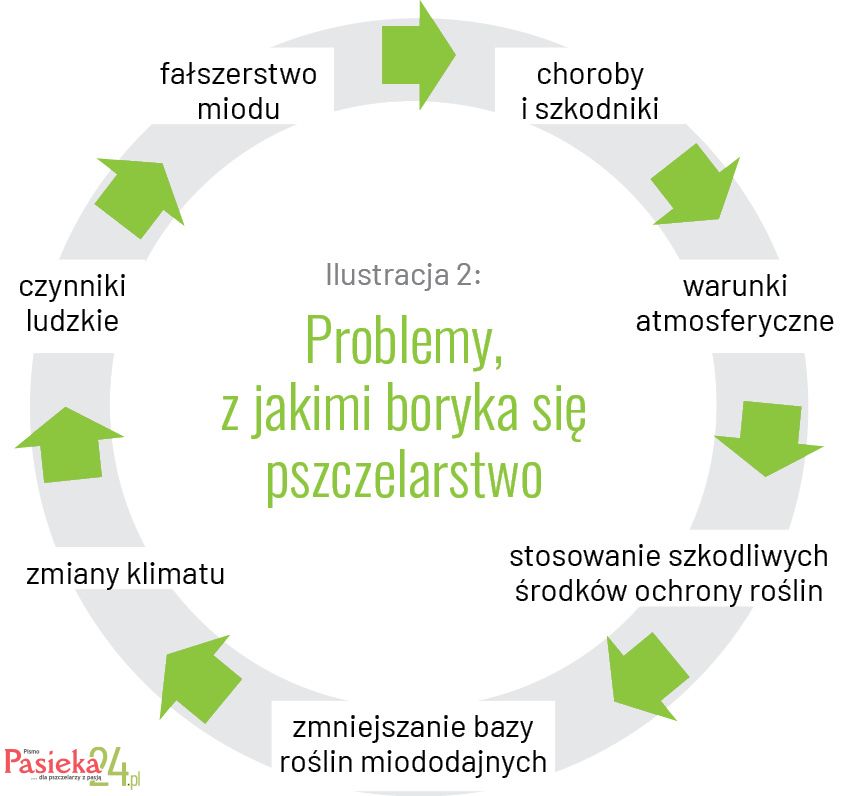 Pasieka nr 5/2023