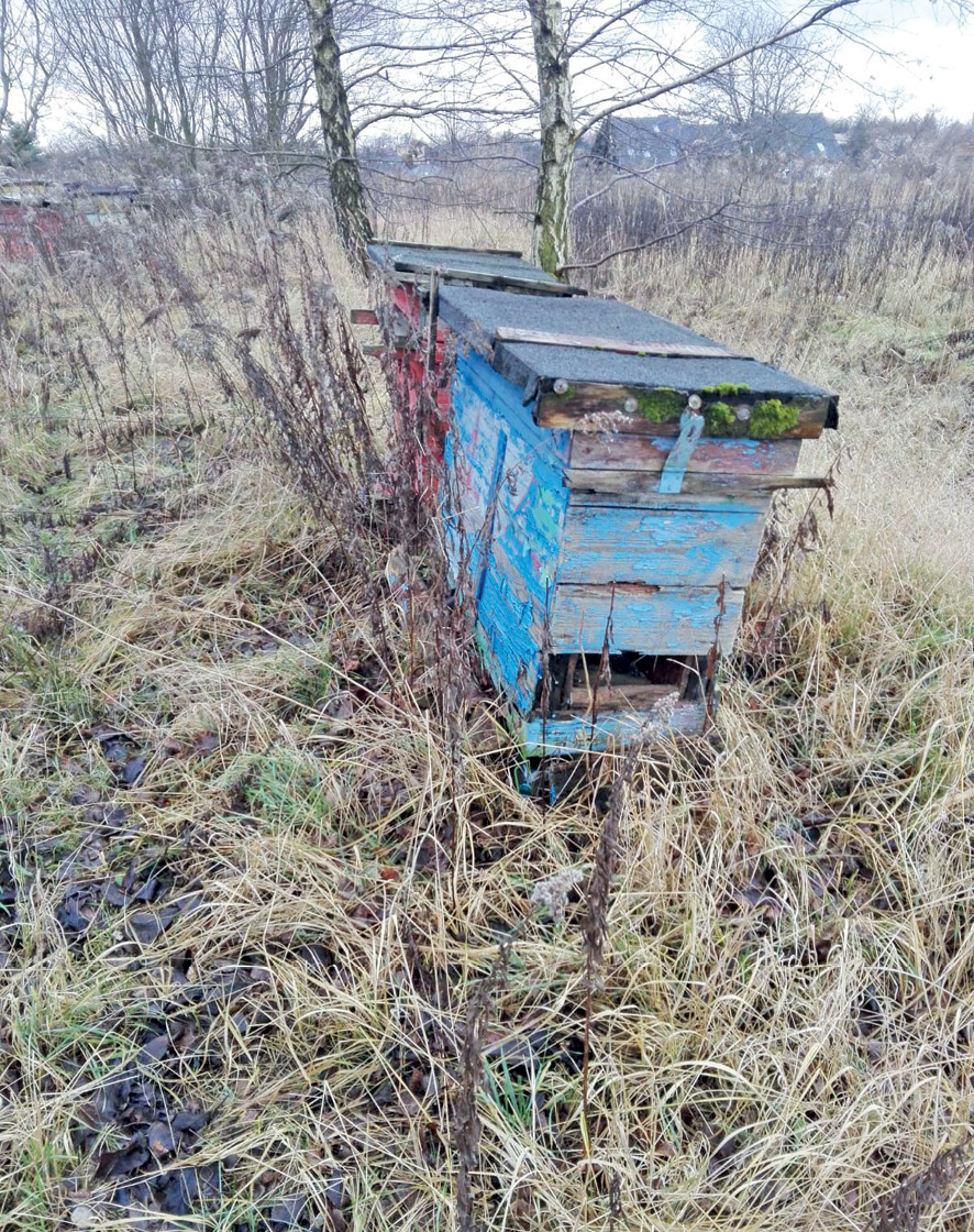 Pasieka nr 5/2023