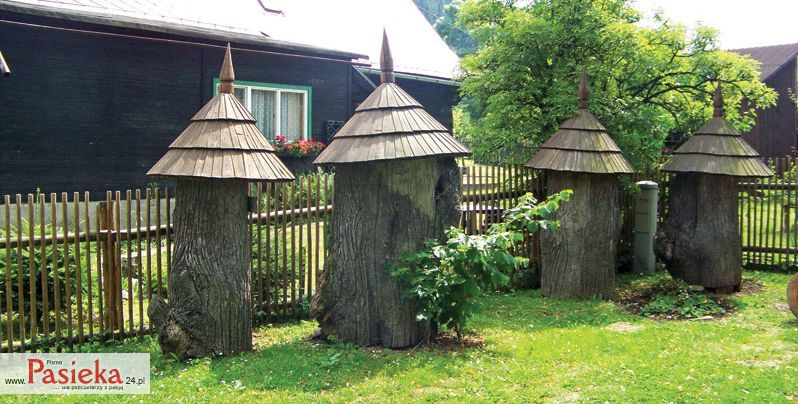cztery ule slomiane
